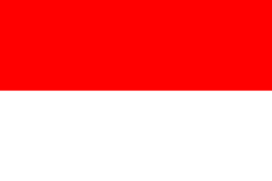 Indonesia Temporary Phone Numbers